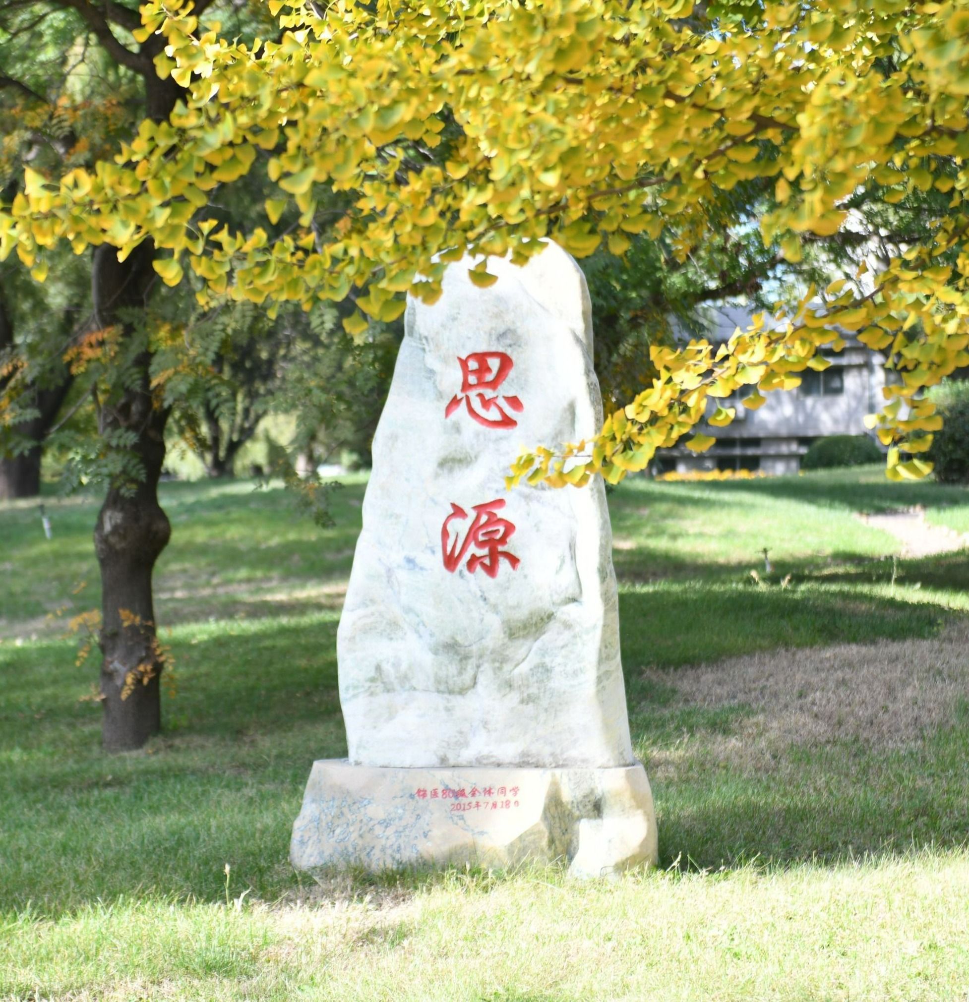 遇见美好，爱上秋日锦医校园！